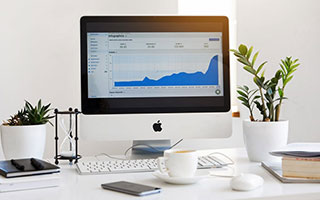 猫咪表情包的奇妙世界：从网络俚语到治愈心灵的图像语言