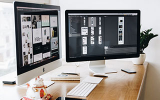 雪境谧林：冬日的静谧诗篇