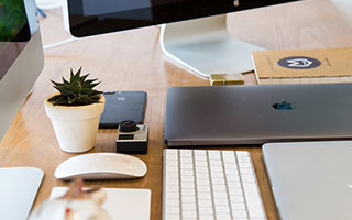 猫咪表情包的奇妙世界：从网络俚语到治愈心灵的图像语言