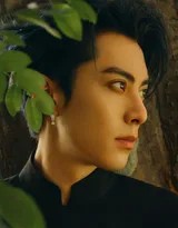 王鹤棣身着黑色长衫侧身立于古朴石墙前，斑驳树影洒落肩头，眼神深邃遥望远方