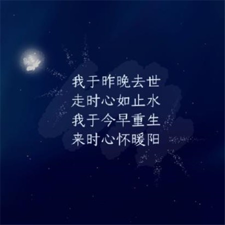 纯白底图上，一行手写字体诉说着温柔的遗憾：