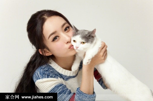 赵丽颖光影下半遮面，眼神透过卷发展现朦胧而迷人的氛围