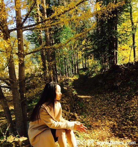 杨钰莹漫步林间小道，裙摆轻拂过满地金黄，整个场景宛如一幅暖色调的古典油画