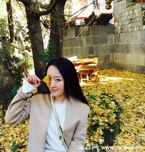 杨钰莹倚靠古朴树干，手持一片脉络分明的红叶，目光悠远似在思索往昔故事