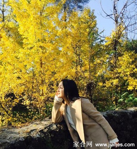 杨钰莹侧身回眸，发丝轻扬，身后是漫天飞舞的橙黄落叶，构成动态而唯美的瞬间