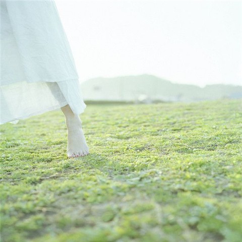 黄昏时分，孤鸟掠过天际，留下淡淡哀愁