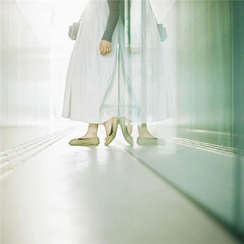 窗台上的枯花，记忆中的芬芳已逝