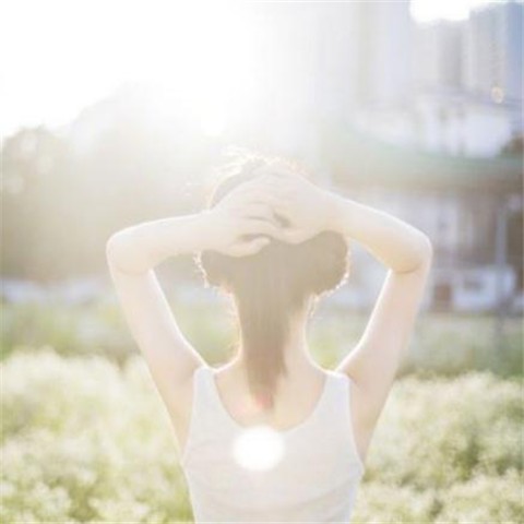 老旧书店的一角，尘埃在光线中舞蹈