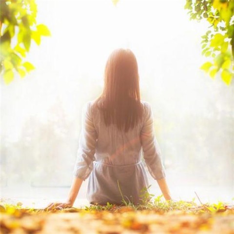 田野中的风车，在暮色中缓缓转动