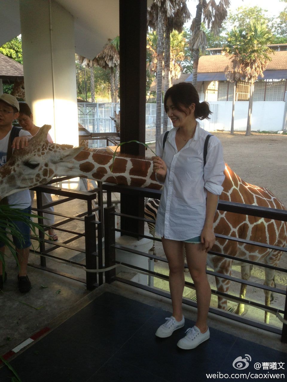 曹曦文侧身面对镜头，展现优雅面部轮廓，自然光线勾勒出柔和静谧的侧影